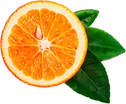 orange__0007_Layer-1.png orange__0007_Layer-1.png